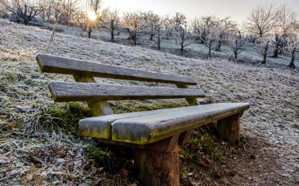 Frosty morning