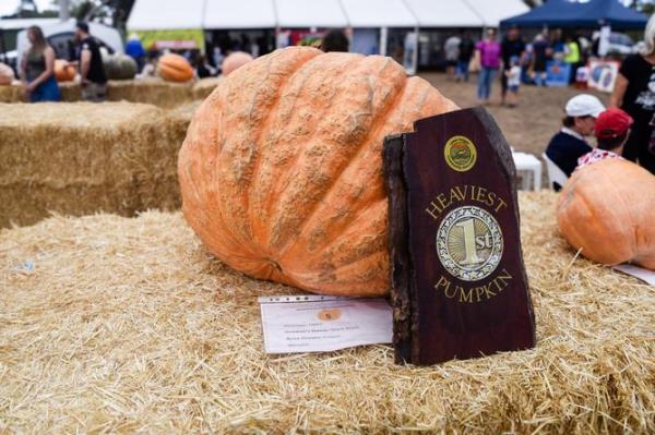 Mark Blyth's Pumpkin won first place, weighing 113.8kg.