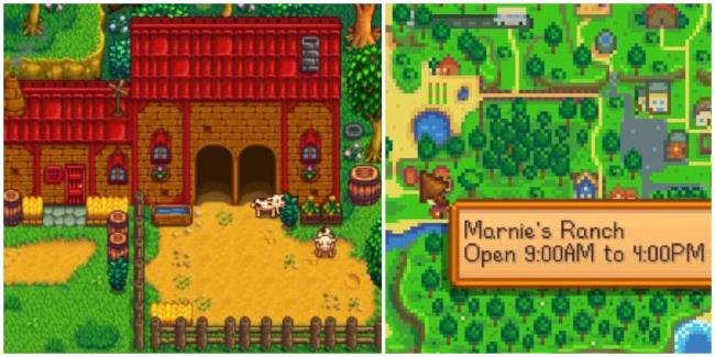 marnie's ranch location stardew valley